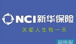 爆料新华保险视频,揭秘公司真实运营状况