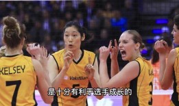 外媒爆料李盈莹视频大全,外媒爆料视频大全