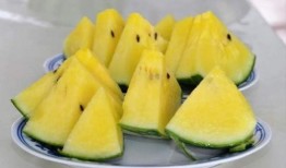 免费吃瓜最新渠道,一键解锁海量瓜果盛宴